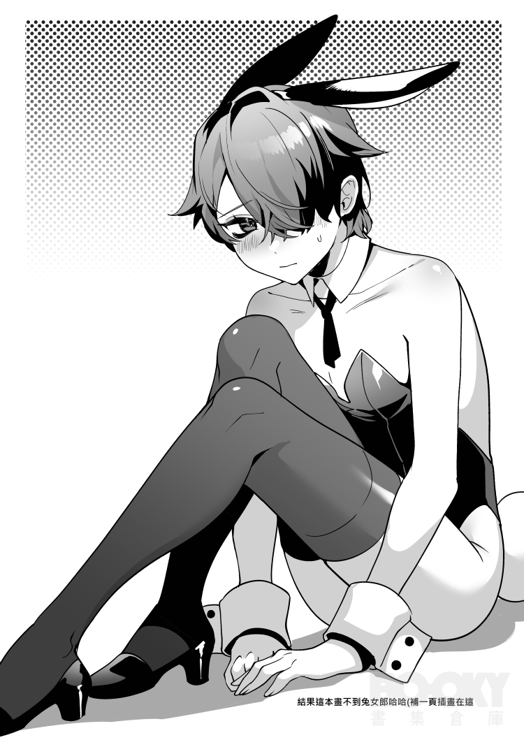 Preview 5