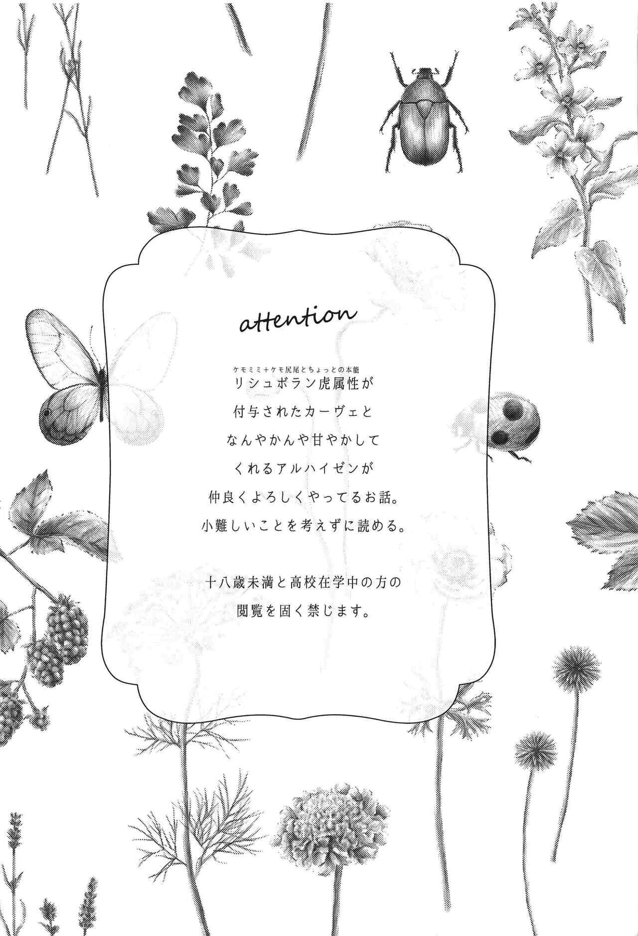Preview 2