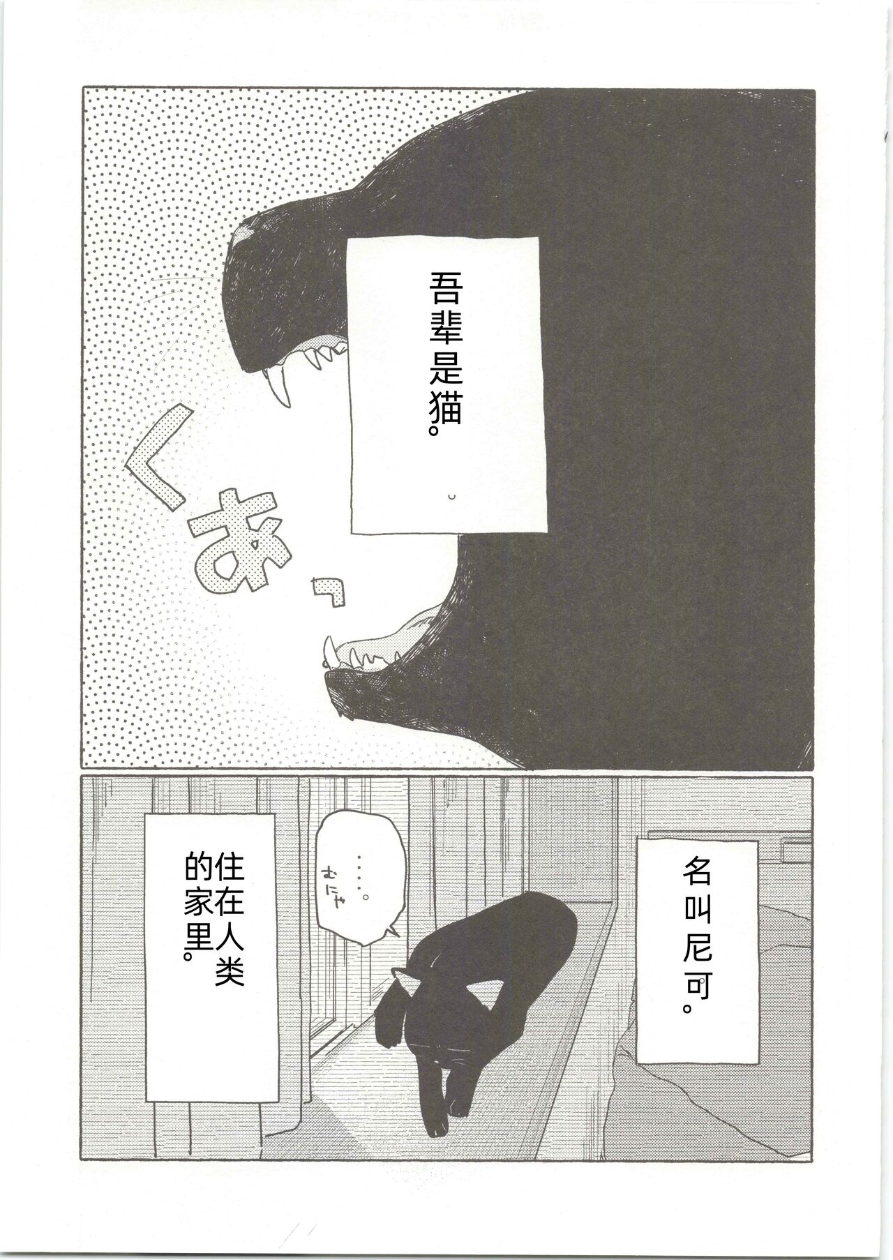 Preview 6