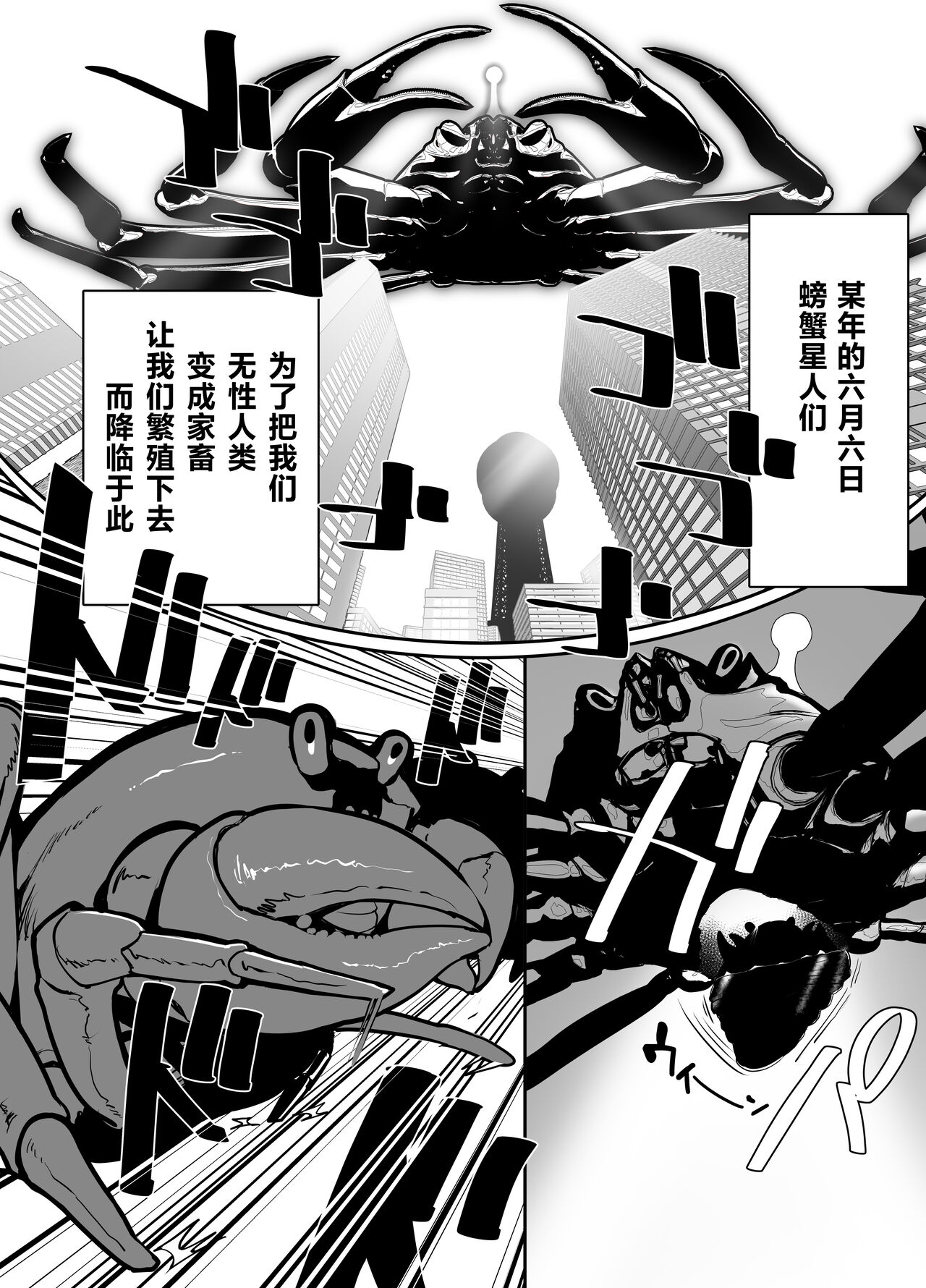 Preview 4