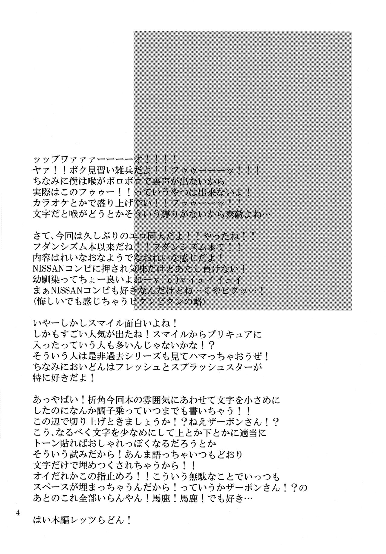 Preview 3