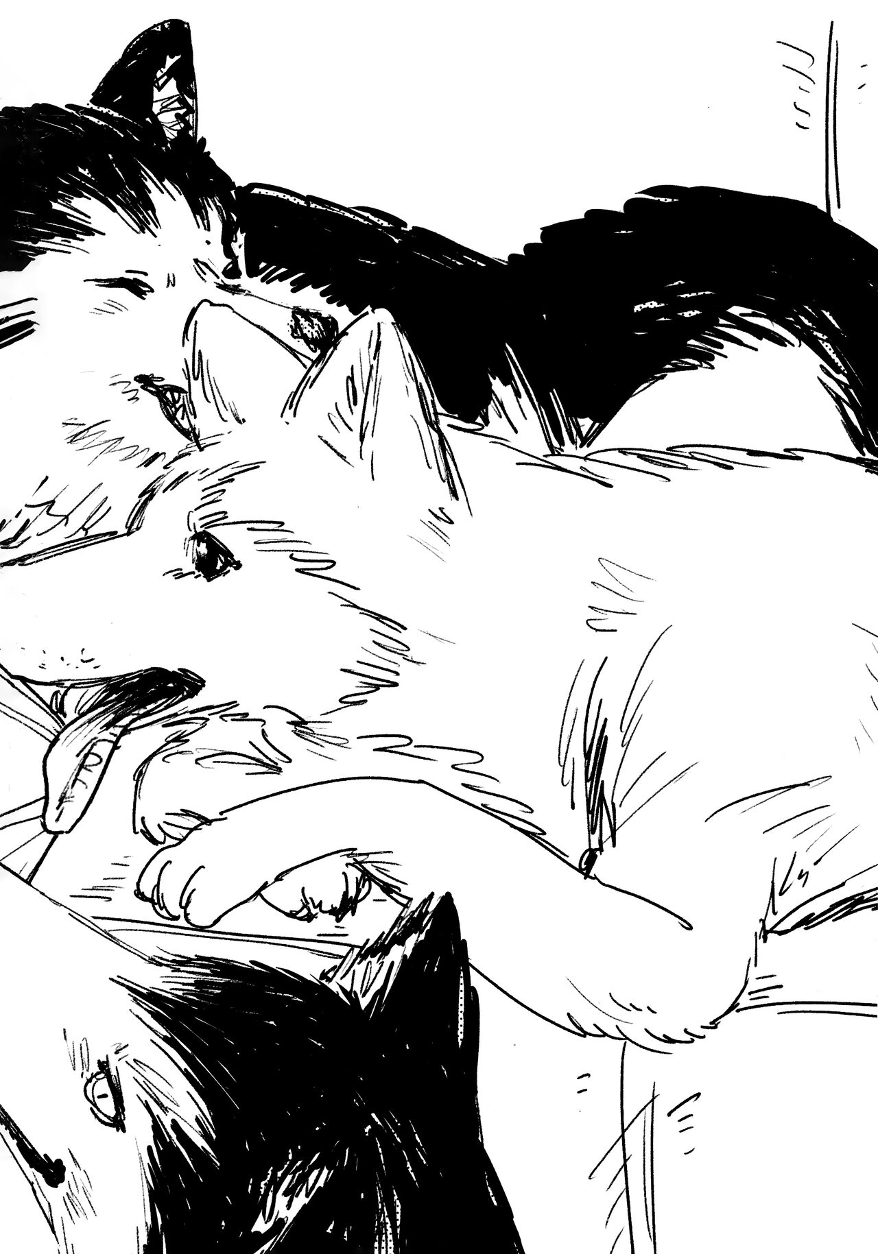 Preview 4
