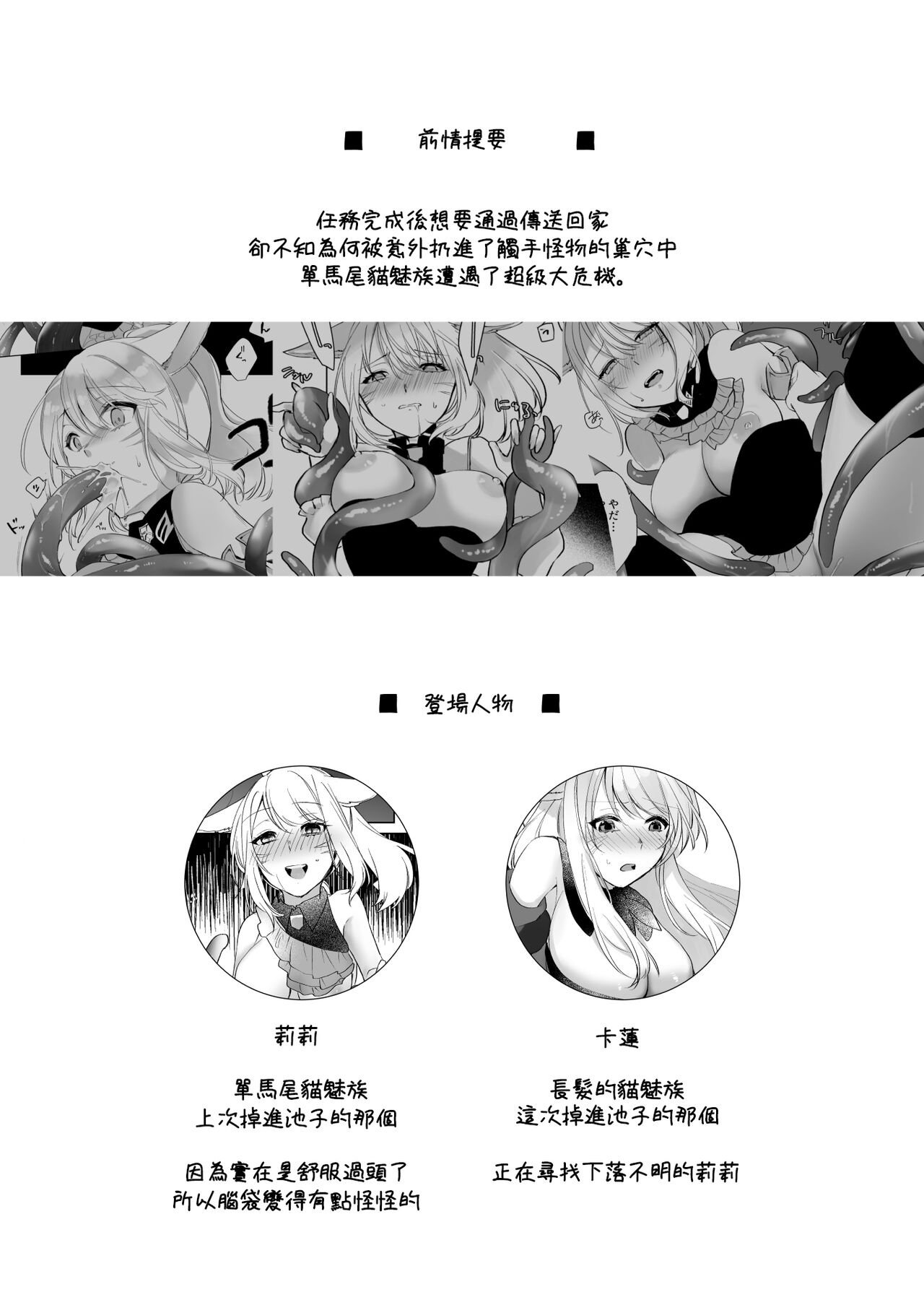 Preview 3