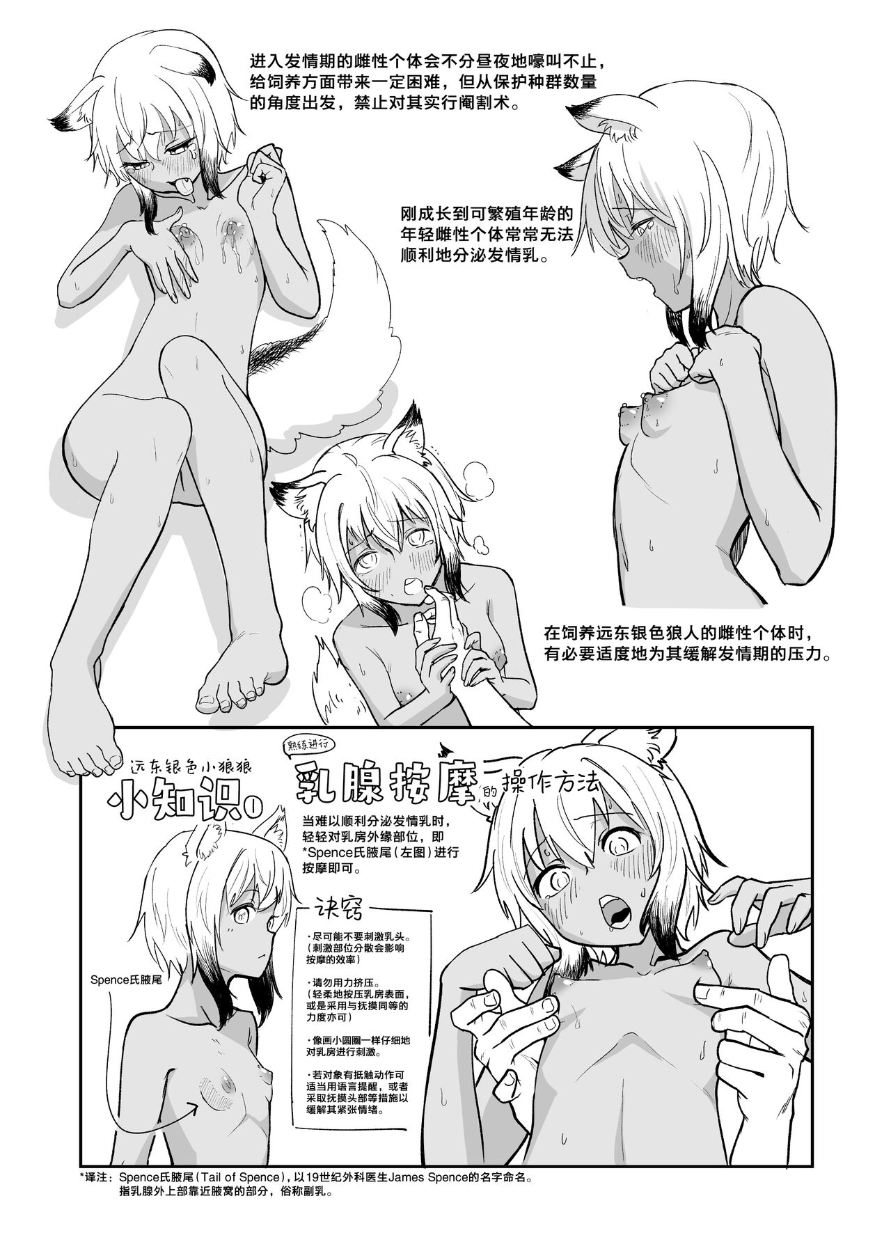 Preview 5