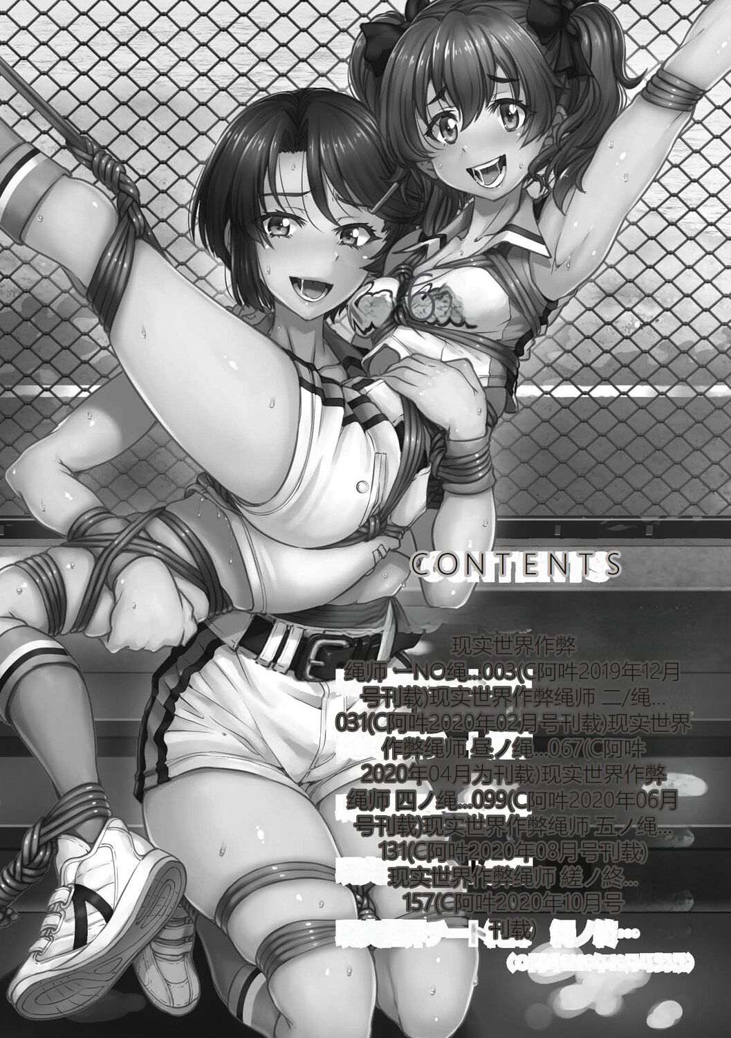Preview 4