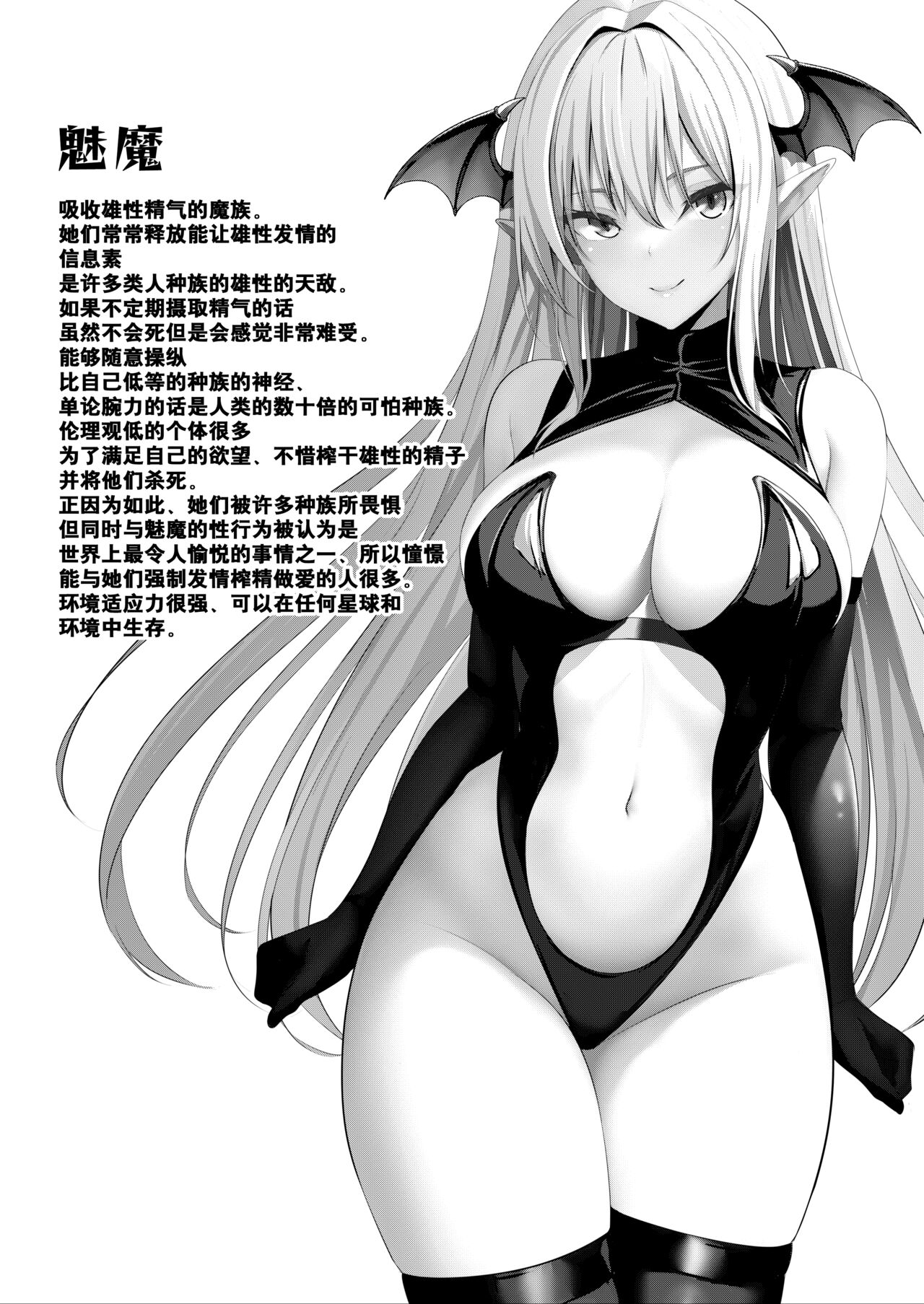 试读预览 3
