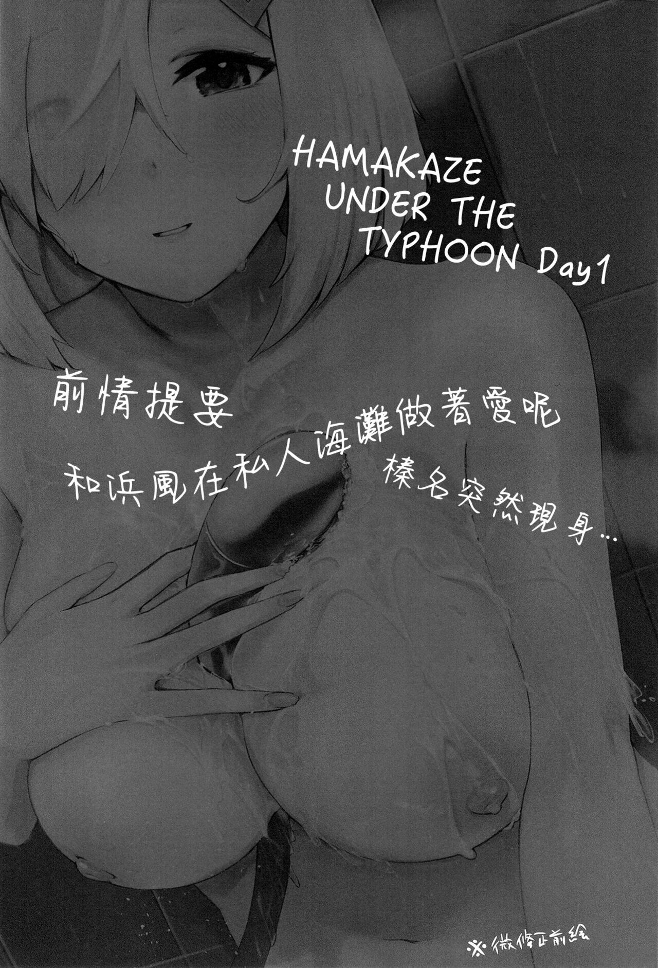 Preview 3