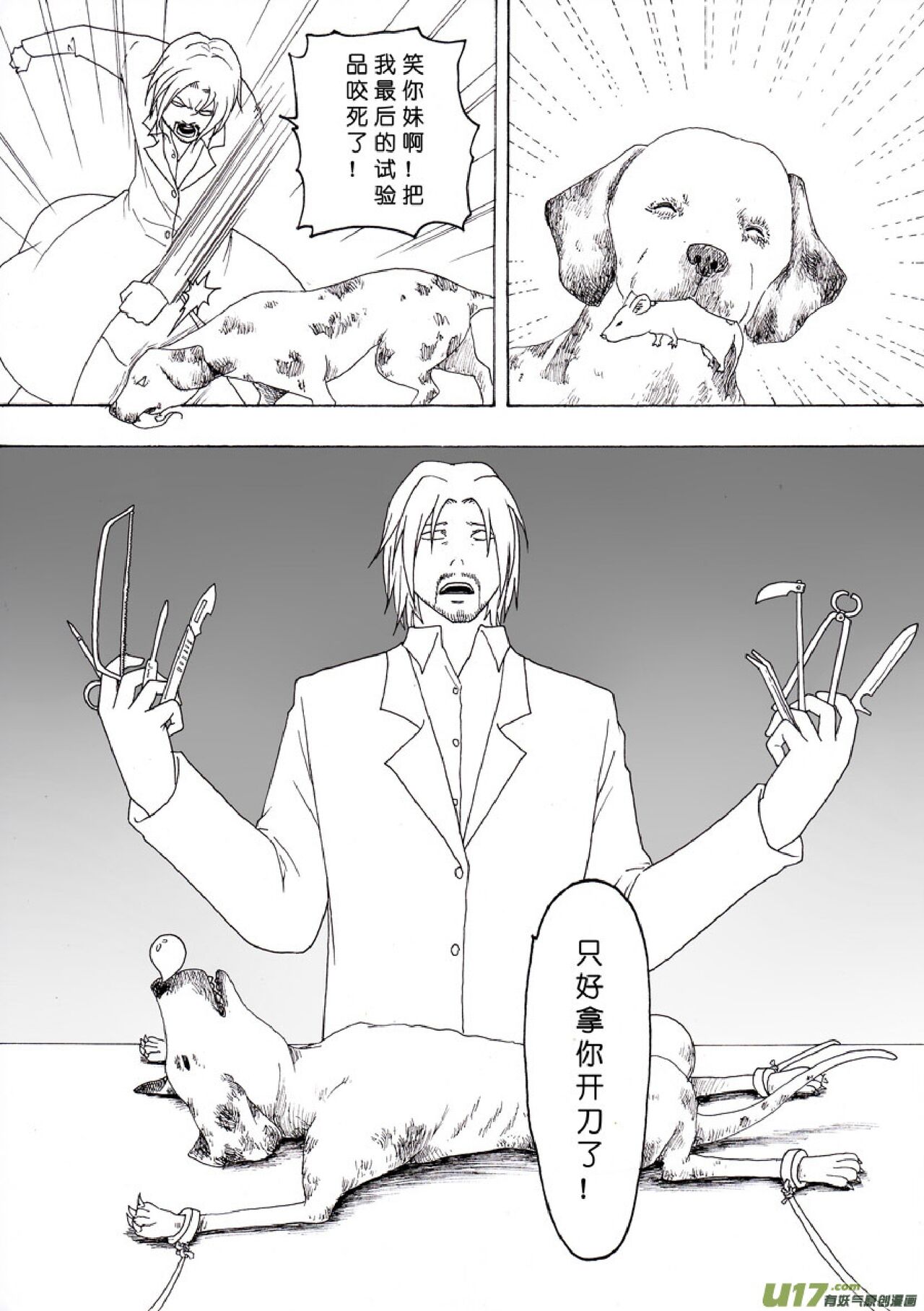 Preview 4