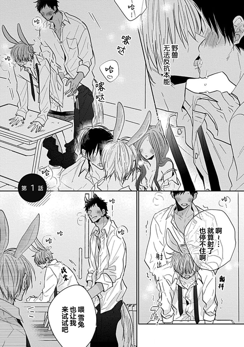 Preview 5