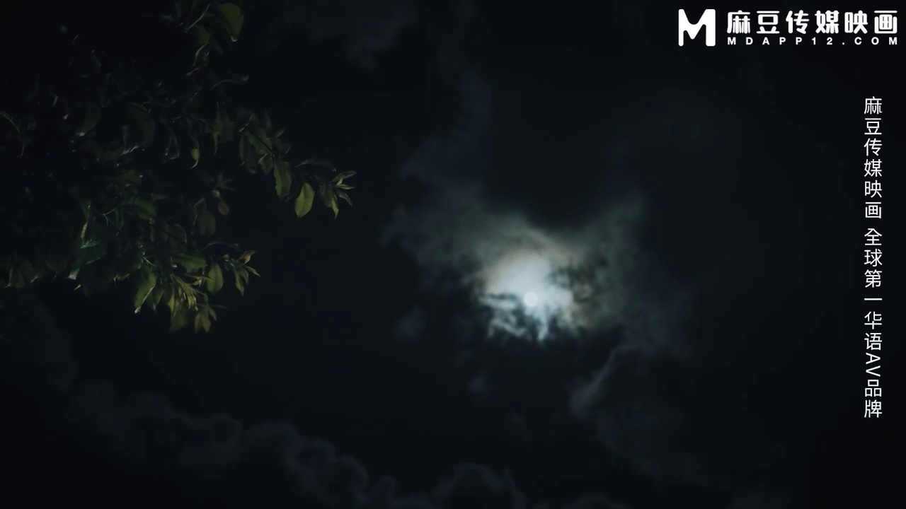 **【网红日记】无套凌辱心中的白月光沦为多人胯下玩物 情何堪**