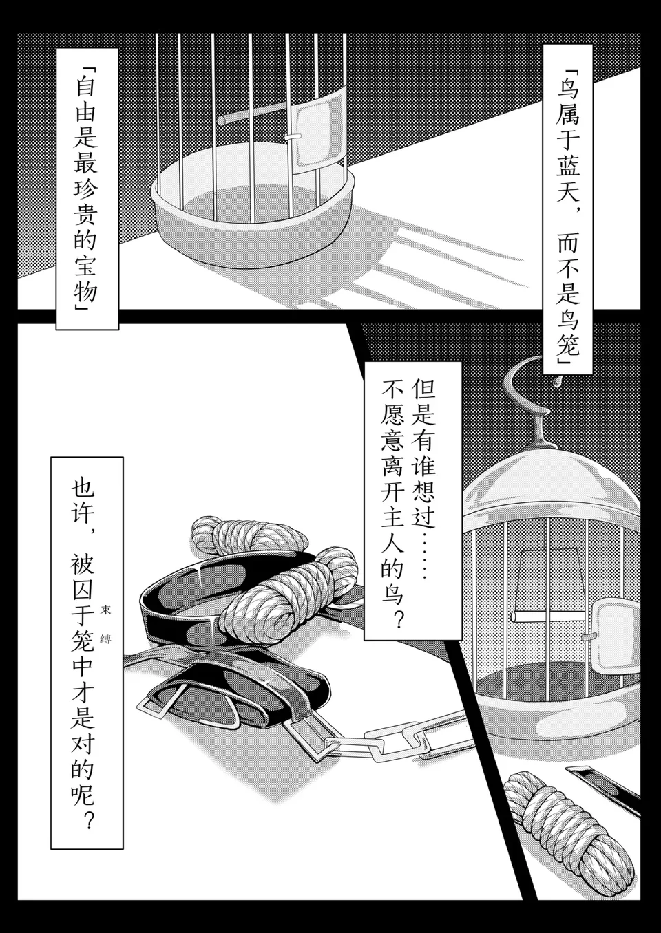 试读预览 5