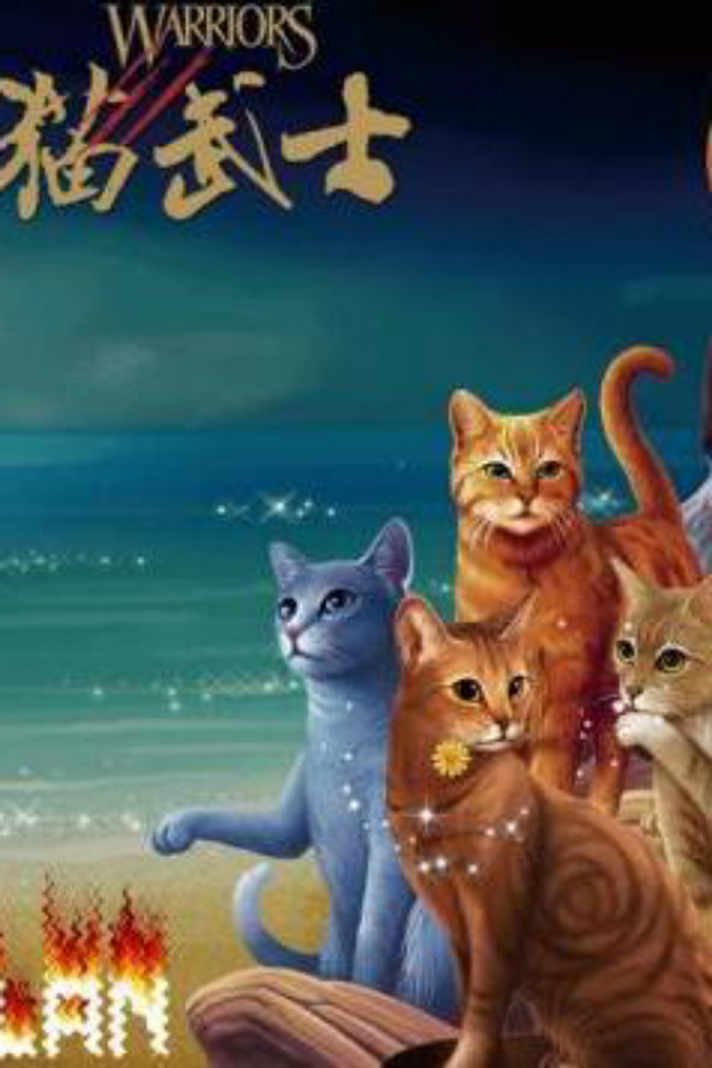 猫武士