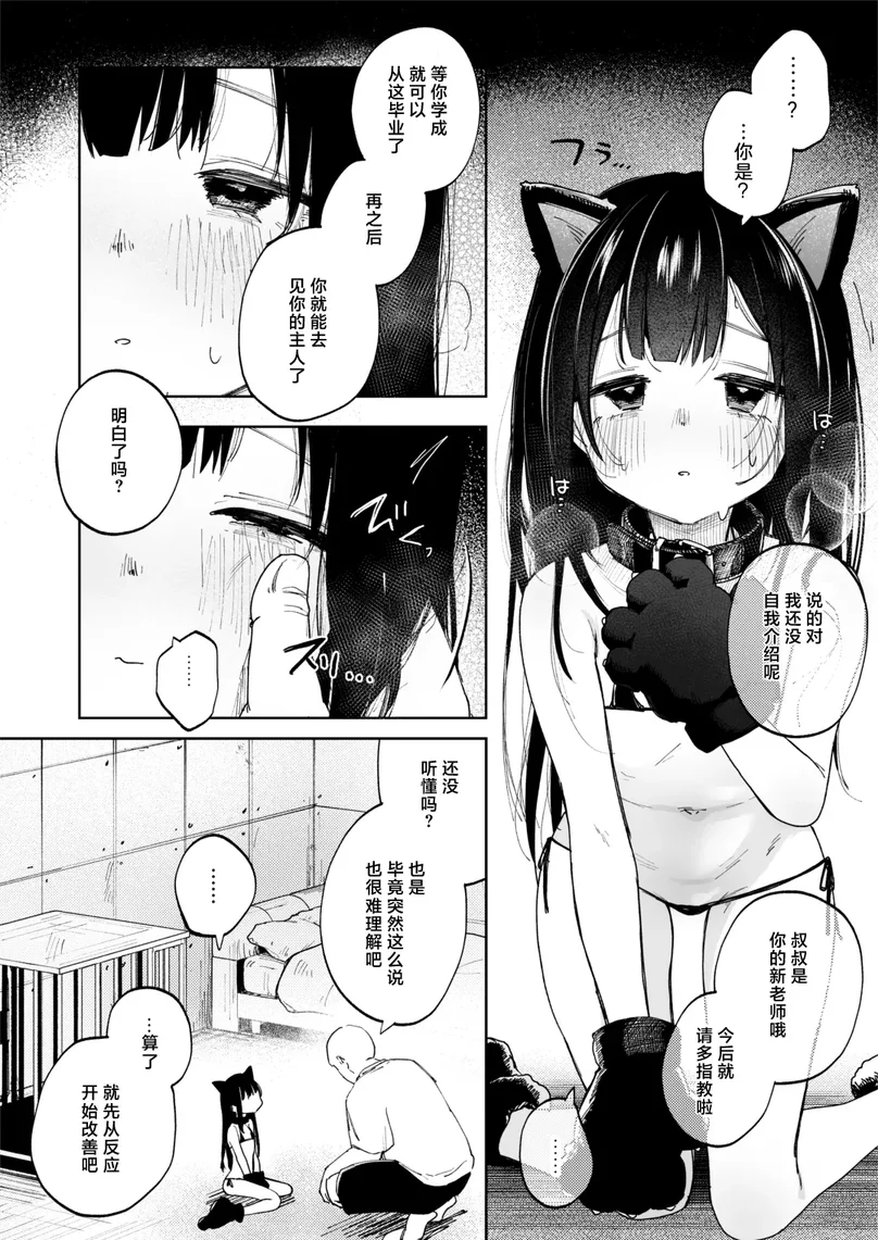试读预览 6