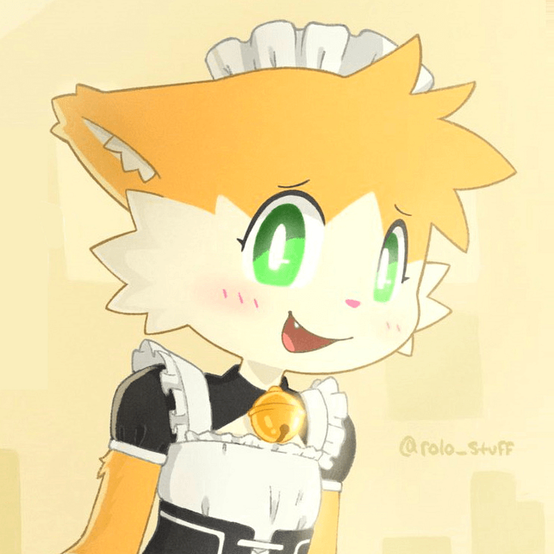 Rolo (rolo_stuff)