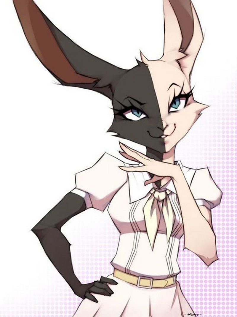 Mizuchi