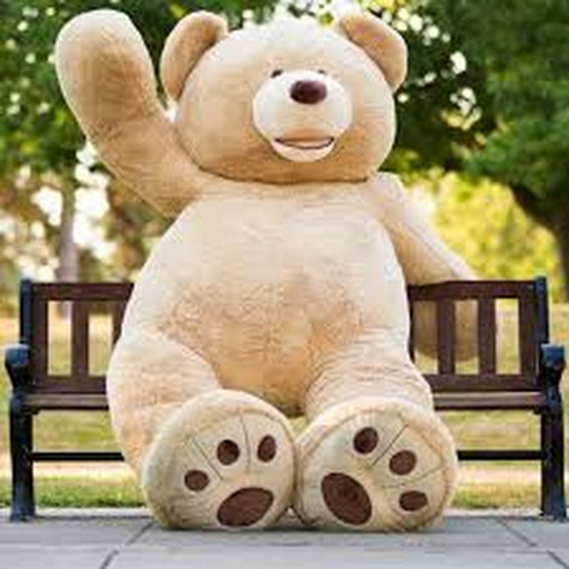 Teddy bear