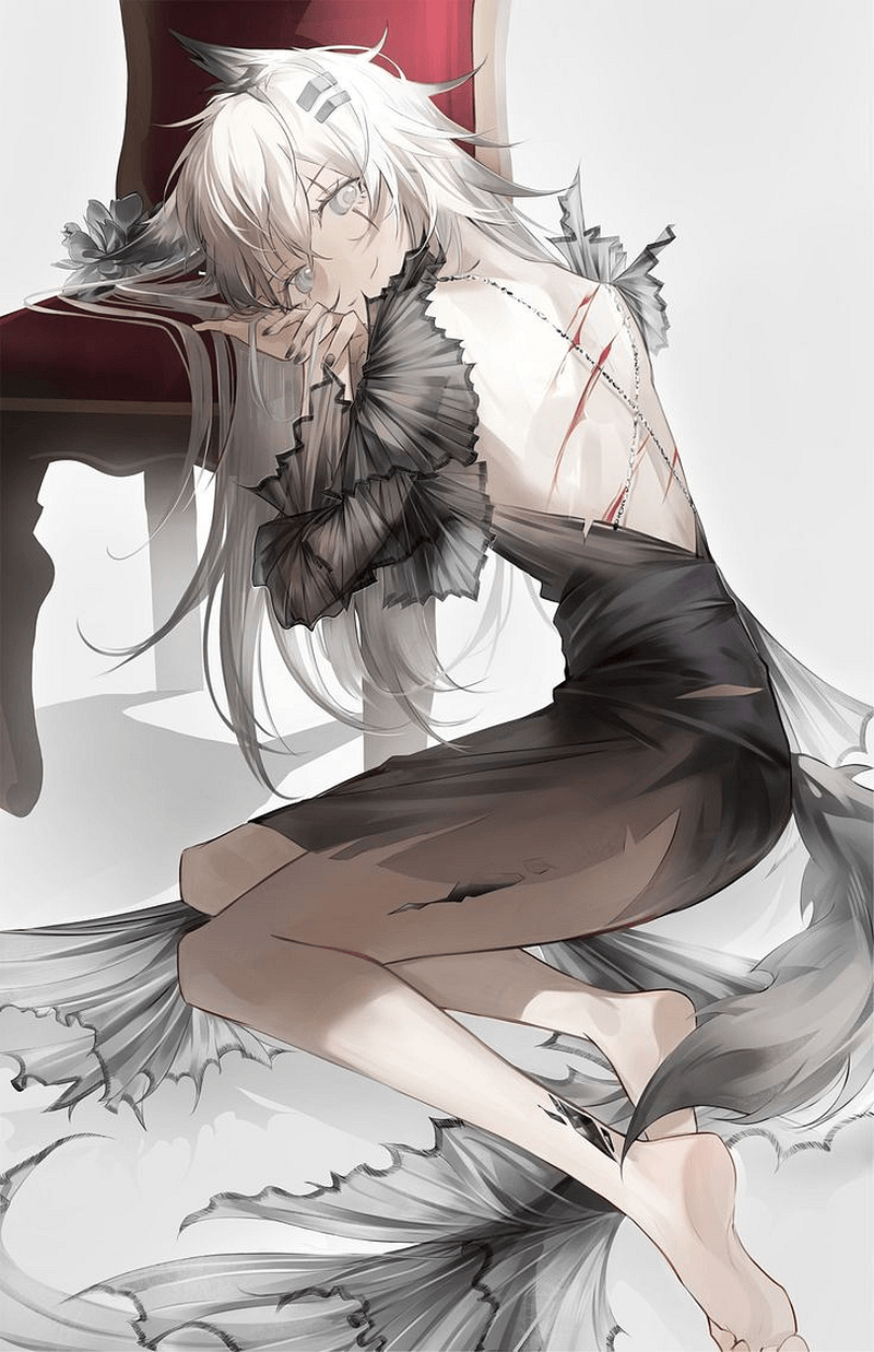 Lappland Saluzzo