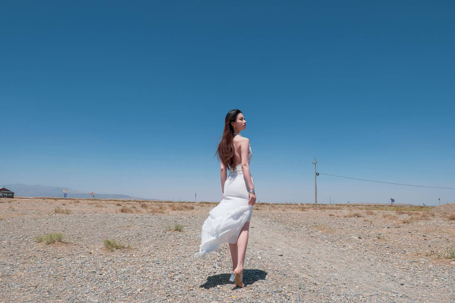 年年 风 50P 711MB