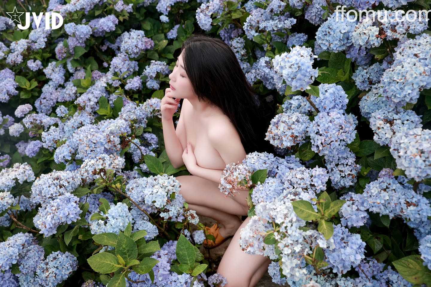 图片预览 5
