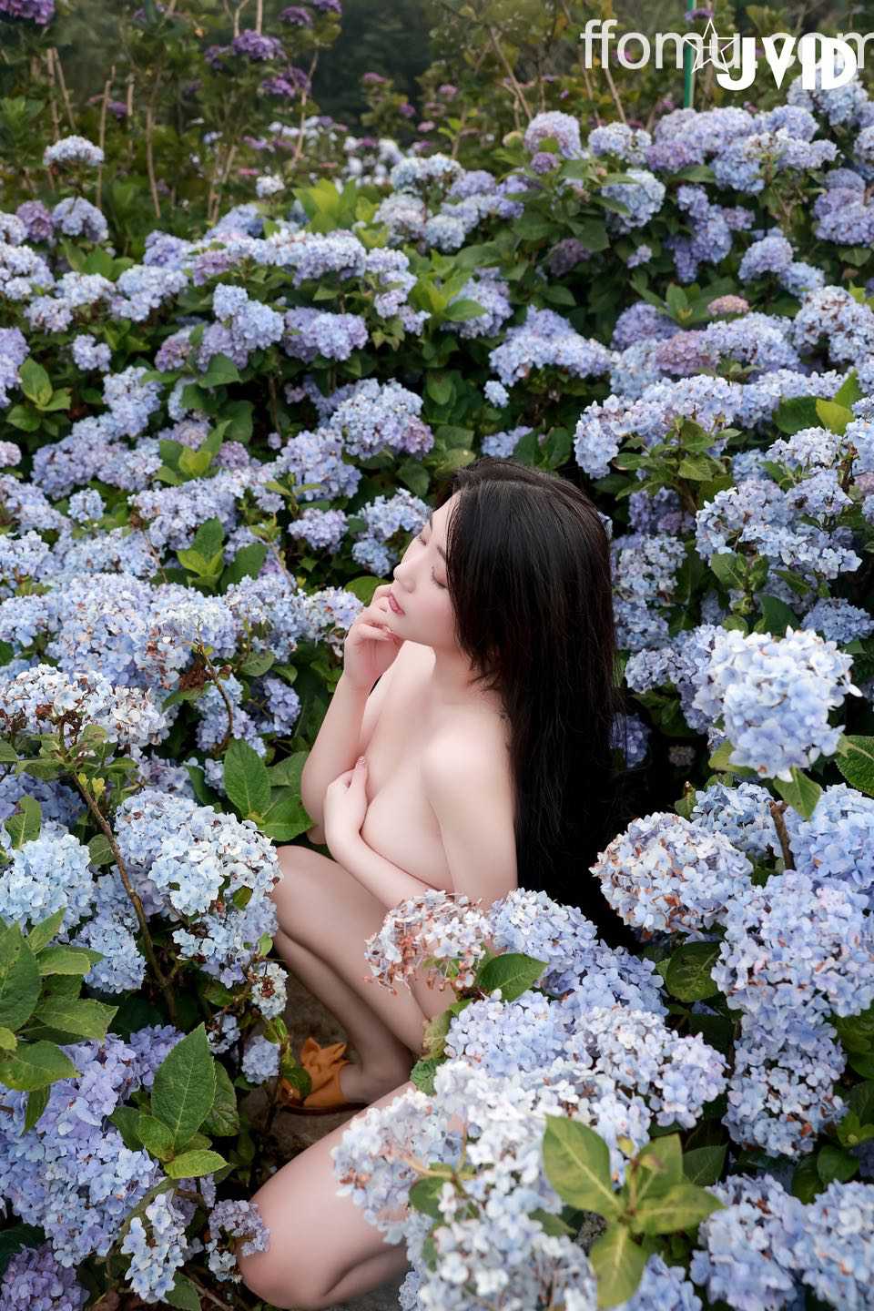 图片预览 4