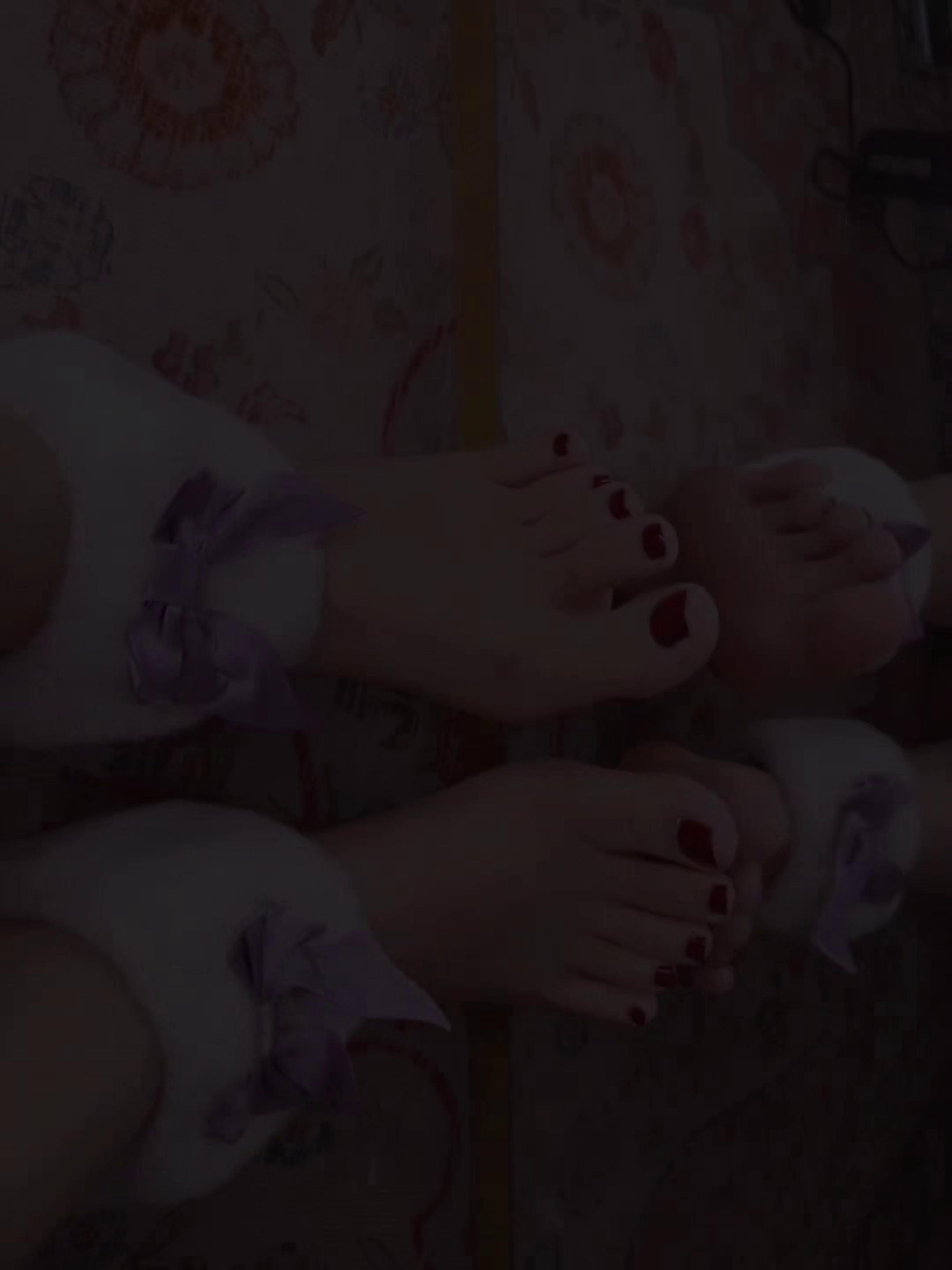 yuuhui玉汇 家有萌宠