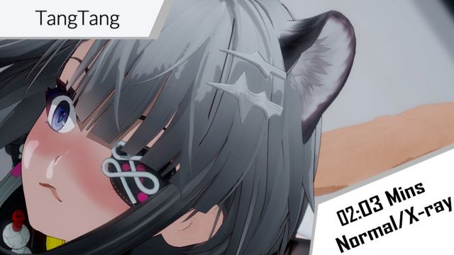 TangTang 🐈