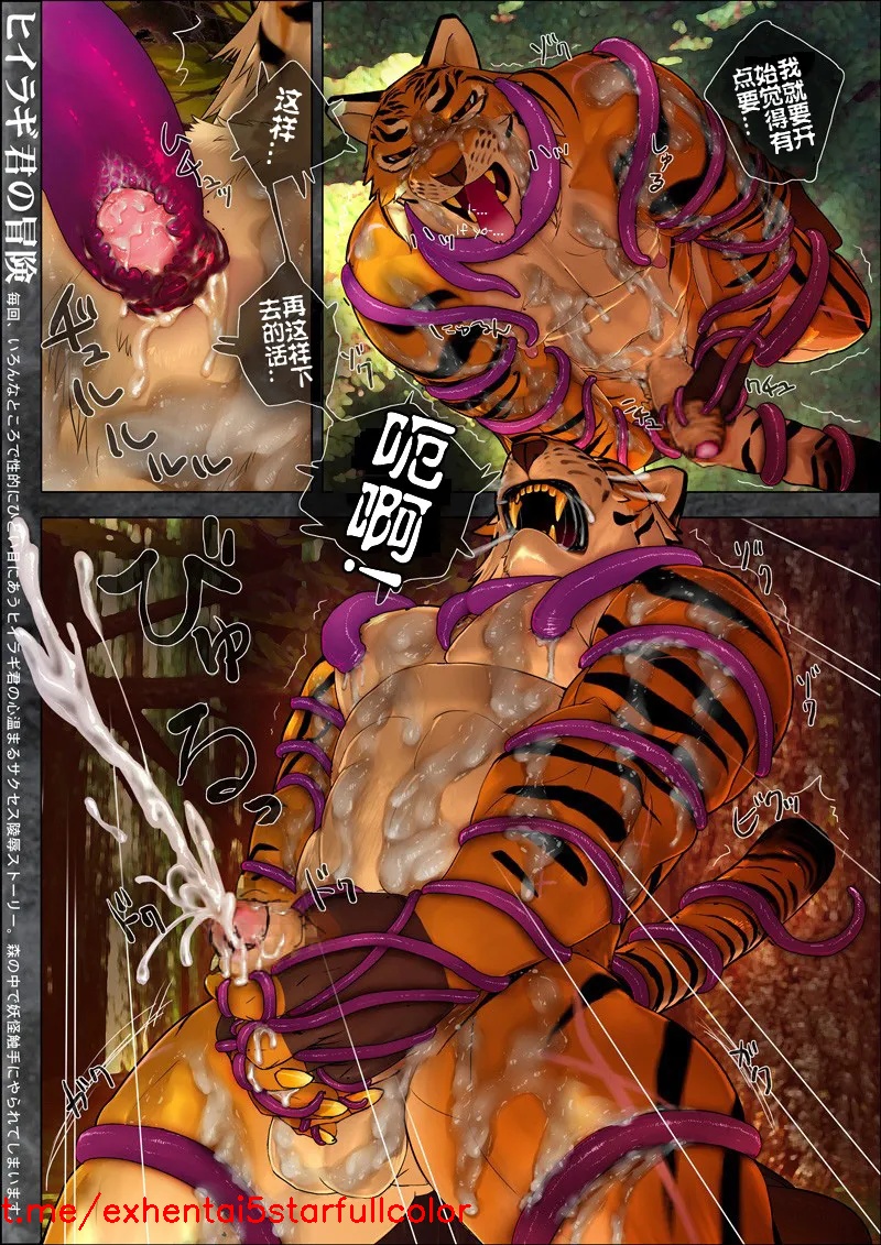 试读预览 6