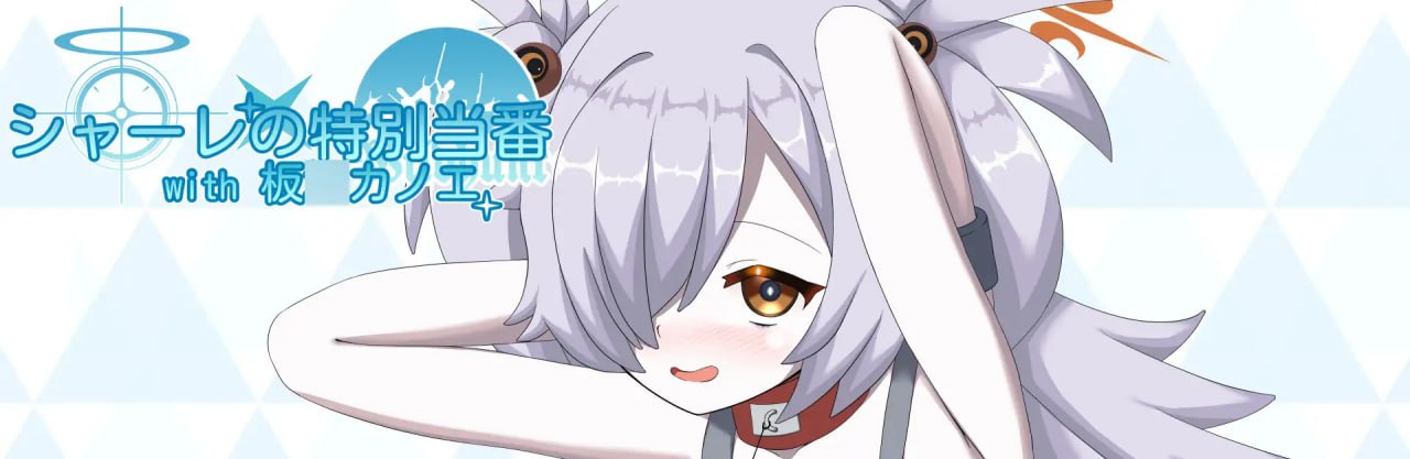 沙勒的特别值日