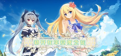 初开在平安夜之花