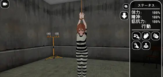 国家的敌人
