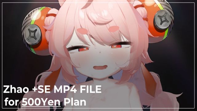 照+SE