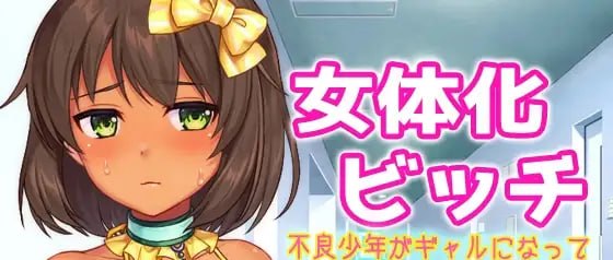 女体化碧池~不良少年变成辣妹后被强制进行怀孕治疗~H场景视频游戏