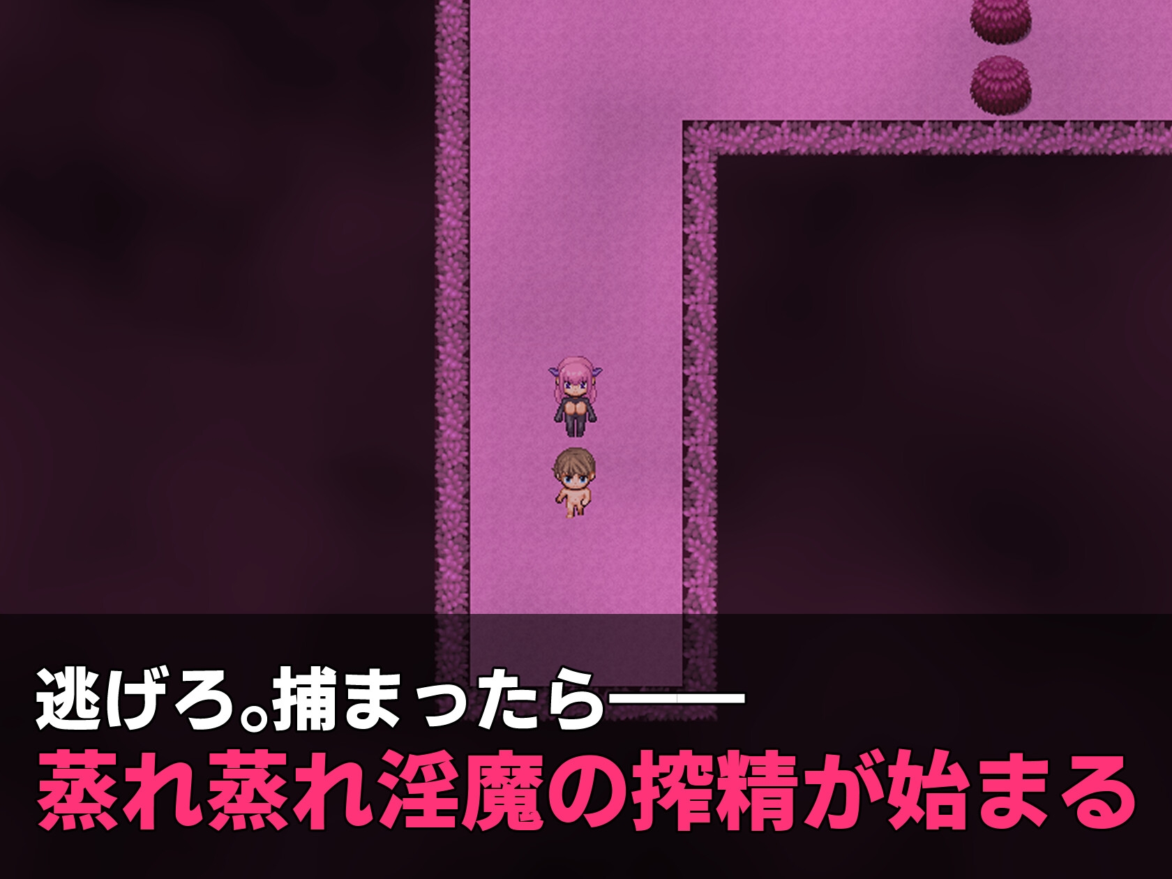 Succubus Escape! ~Escape from the Lustful Forest~ ver.1.0.1 1
