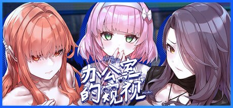 办公室的窥视